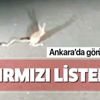 Kırmızı listede bulunan kanguru faresi Ankara'da görüntülendi! Kırmızı listede bulunan kanguru faresi Ankara'da görüntülendi!