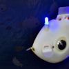 Harvard Üniversitesi uzmanları robot balık geliştirdi Harvard Üniversitesi uzmanları robot balık geliştirdi