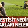 Pestisit nedir? İlaçlarda kullanılan Pestisit zararları, türleri ve etkileri nelerdir?