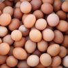 Yumurta bir yılda fiyatını iki katına çıkardı Yumurta bir yılda fiyatını iki katına çıkardı