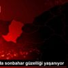 Sakarya da sonbahar güzelliği yaşanıyor Sakarya da sonbahar güzelliği yaşanıyor