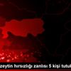 Aydın da zeytin hırsızlığı zanlısı 5 kişi tutuklandı