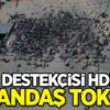 PKK destekçisi HDP'ye vatandaş tokadı! PKK destekçisi HDP'ye vatandaş tokadı!