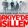 Türkleri köpekle arayan Avusturya'ya Türkiye'den misilleme
