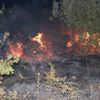 Tekirdağ'da korkutan yangın Tekirdağ'da korkutan yangın