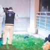 Ankaralı Namık ölüme uçtu