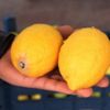 Limon ihracatı izne bağlandı