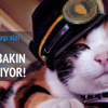 Bu kedi tren istasyonunda şef!