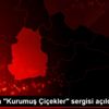 Çorum da "Kurumuş Çiçekler" sergisi açıldı Çorum da "Kurumuş Çiçekler" sergisi açıldı