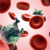 AIDS'den 34 yılda 34 milyon ölüm! AIDS'den 34 yılda 34 milyon ölüm!