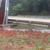 Koca ada bir anda kıpkırmızı oldu. Denizin içinden çıktı her yeri kapladı Koca ada bir anda kıpkırmızı oldu. Denizin içinden çıktı her yeri kapladı