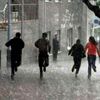 Meteoroloji duyurdu! Bugün hava nasıl olacak? (25 Temmuz 2019 hava durumu)