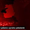 Van da 43 yabancı uyruklu yakalandı Van da 43 yabancı uyruklu yakalandı