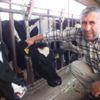 Hayvan alırken 24 aya dikkat