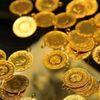 Çeyrek altın 244 lira oldu Çeyrek altın 244 lira oldu