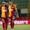 Aslan tatilde! Aslan tatilde!