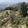 Tarım cennetinde akıllara zarar JES projesi Tarım cennetinde akıllara zarar JES projesi
