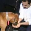 İbrahim Tatlıses: Geçirdiğimiz 12 yıl için teşekkürler İbrahim Tatlıses: Geçirdiğimiz 12 yıl için teşekkürler
