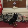 Bisiklet içerisinden uyuşturucu çıktı Bisiklet içerisinden uyuşturucu çıktı