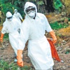 Ebola mutasyona uğruyor Ebola mutasyona uğruyor