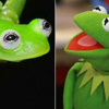 Kermit’in espirisiz ‘ikizi’ bulundu Kermit’in espirisiz ‘ikizi’ bulundu