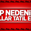 Bir ilde grip nedeniyle okullar tatil edildi