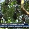 ABD'den art arda Türkiye açıklaması ABD'den art arda Türkiye açıklaması