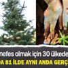 Geleceğe nefes olmak için 30 ülkeden destek! 11 Kasım'da 81 ilde aynı anda gerçekleşecek