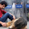Bu hareket için soruşturma açıldı Bu hareket için soruşturma açıldı