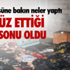 Bakan Kılıç, milli judocu Dilara Lokmanhekim'i kutladı