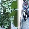 El öpüp para çalan yankesiciler yakalandı
