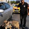 İstanbul'da 2 bin 480 polisin katılımıyla ''Kurt Kapanı-22'' uygulaması yapıldı İstanbul'da 2 bin 480 polisin katılımıyla ''Kurt Kapanı-22'' uygulaması yapıldı