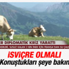 İsviçre Ordusu inekler için Fransa'da operasyon yaptı