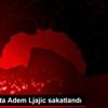 Beşiktaş ta Adem Ljajic sakatlandı Beşiktaş ta Adem Ljajic sakatlandı