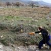 Develi Belediyesi ekiplerinden sokak hayvanlarına ... Develi Belediyesi ekiplerinden sokak hayvanlarına ...