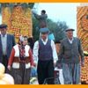 Narenciye Festivali’nde ‘para’ kavgası