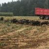 Başkent’te mobilya imalathanesinde yangın