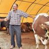 5 milyon kurbanlık var 5 milyon kurbanlık var