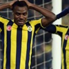 Bal yapmayan arı Bal yapmayan arı