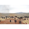 Siirt'te gerginlik Siirt'te gerginlik