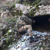 'Kapan-4 Mava'da 41 sığınak ve mağara imha edildi