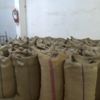 Yılın ilk fındığı tüccara indi Yılın ilk fındığı tüccara indi