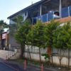Bodrum'da restoranda yangın Bodrum'da restoranda yangın
