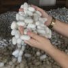 İpek böcekçiliği 40 günde 15 bin TL kazandırıyor! İpek böcekçiliği 40 günde 15 bin TL kazandırıyor!