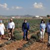 Adana da lavanta balı üretilecek Adana da lavanta balı üretilecek
