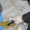 Mardin'de uyuşturucu operasyonu, 8 kişi tutuklandı! Mardin'de uyuşturucu operasyonu, 8 kişi tutuklandı!