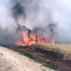 YPG, tarlaları yakıp köylüleri öldürüyor
