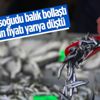 Hamsi bollaştı, fiyatlar yarıya indi