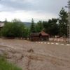 Kastamonu’da yağış tarım arazilerini vurdu