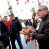 Sokak köpeği süs köpeğini parçaladı